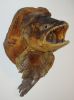 Dateiname : Fario - 6,75 kg.JPG
Dateigröße : 67KB
Abmessungen : 519x697
hinzugefügt am : 03.September 2007 Fario - 6,75 kg.JPG