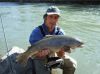 Dateiname : Fario 3,65 kg.jpg
Dateigröße : 184KB
Abmessungen : 970x727
hinzugefügt am : 22.September 2007 Fario 3,65 kg.jpg